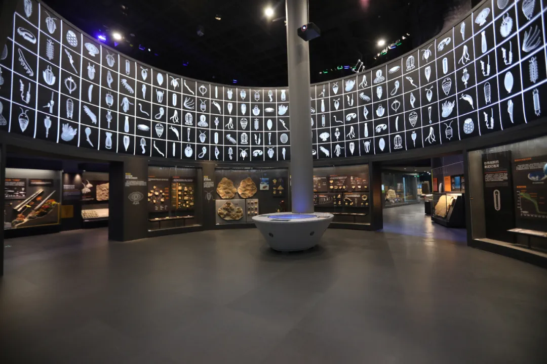 剛剛，2019年度全國博物館十大陳列展覽精品揭曉！(圖19)