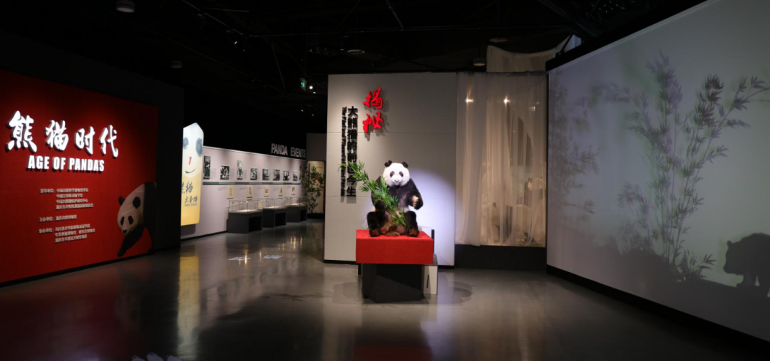 剛剛，2019年度全國博物館十大陳列展覽精品揭曉！(圖29)