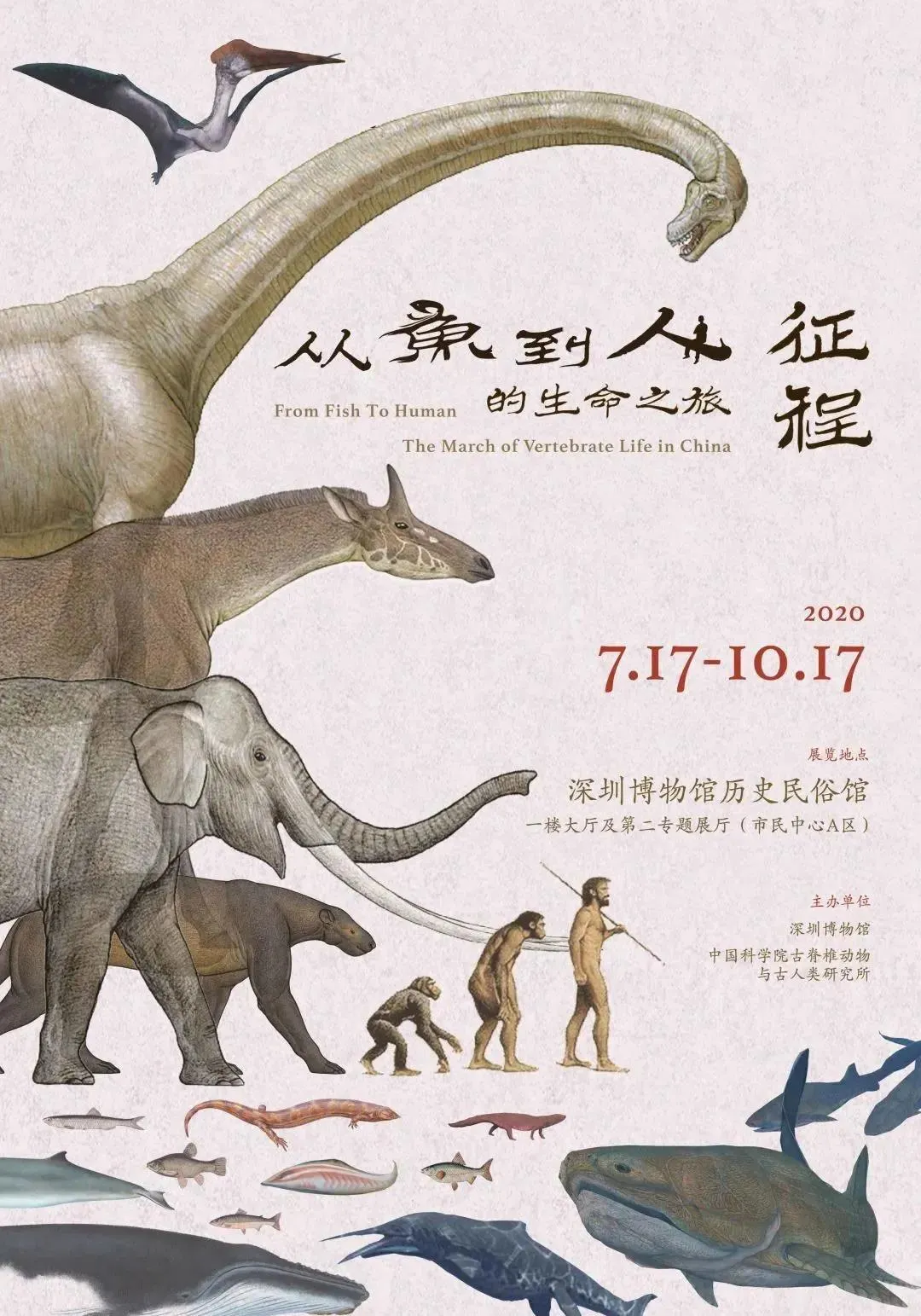 10月，展訊來了(圖15)