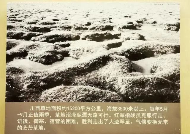 【建黨100周年】長征——偉大壯舉,不朽豐碑!(圖33)
