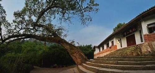 紀(jì)念抗日戰(zhàn)爭勝利76周年！這些抗戰(zhàn)紀(jì)念館，你都去過嗎？(圖8)