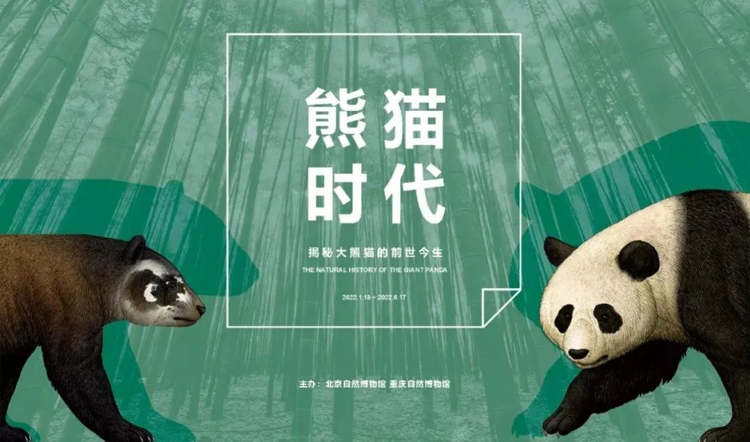 3月北京展訊丨最是一年春好處，最高人氣藝術(shù)大展等你去打卡...(圖10)